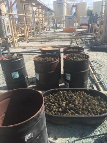Chamber De-Scrubber