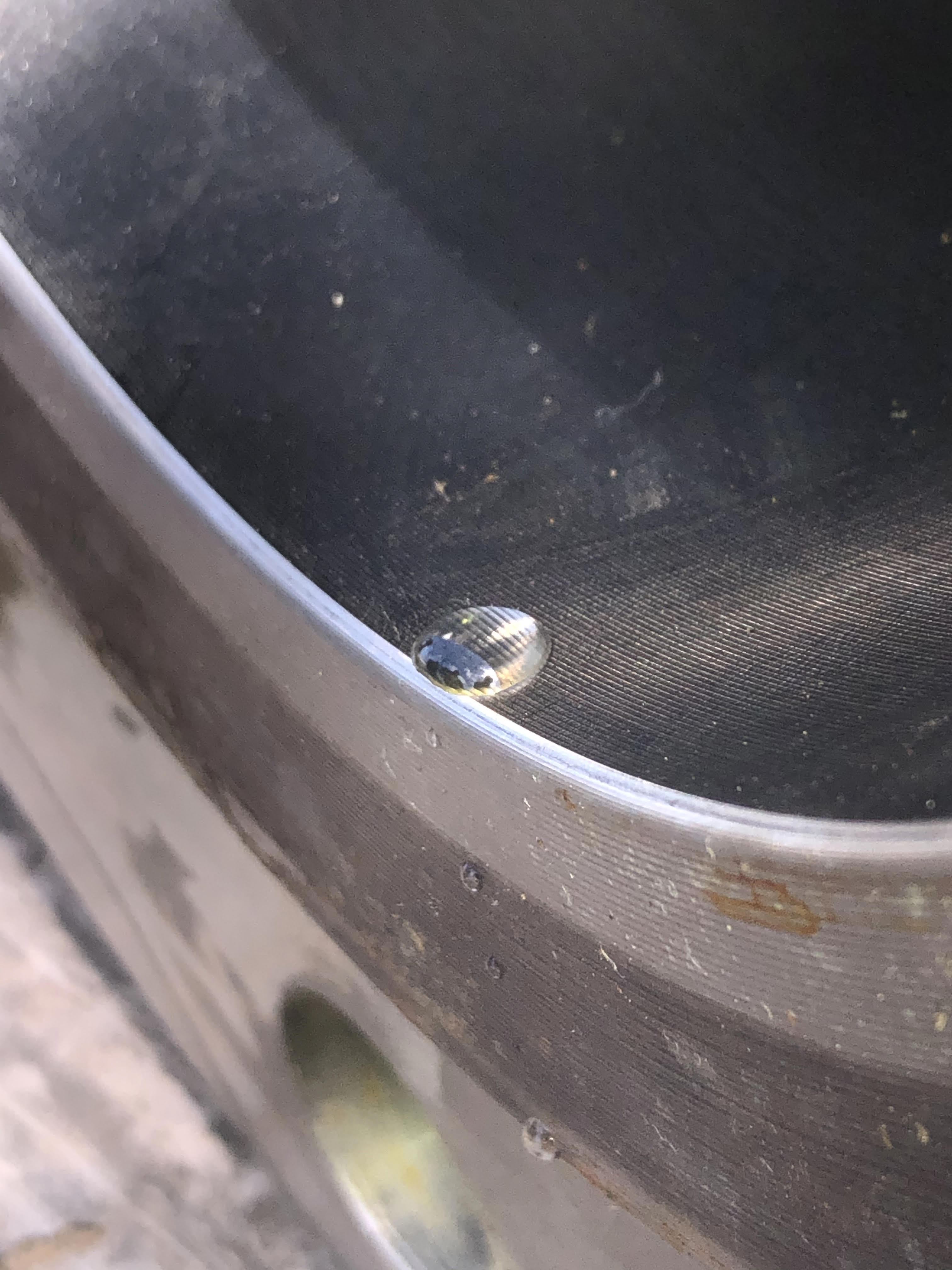 Internal vessel